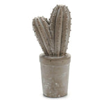 Cement Cactus S