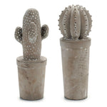 Cement Cactus S